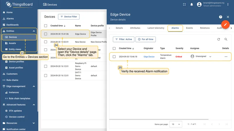 Device alarms tab on the server showing the synchronized alarm — CE