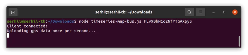Emulator running in terminal