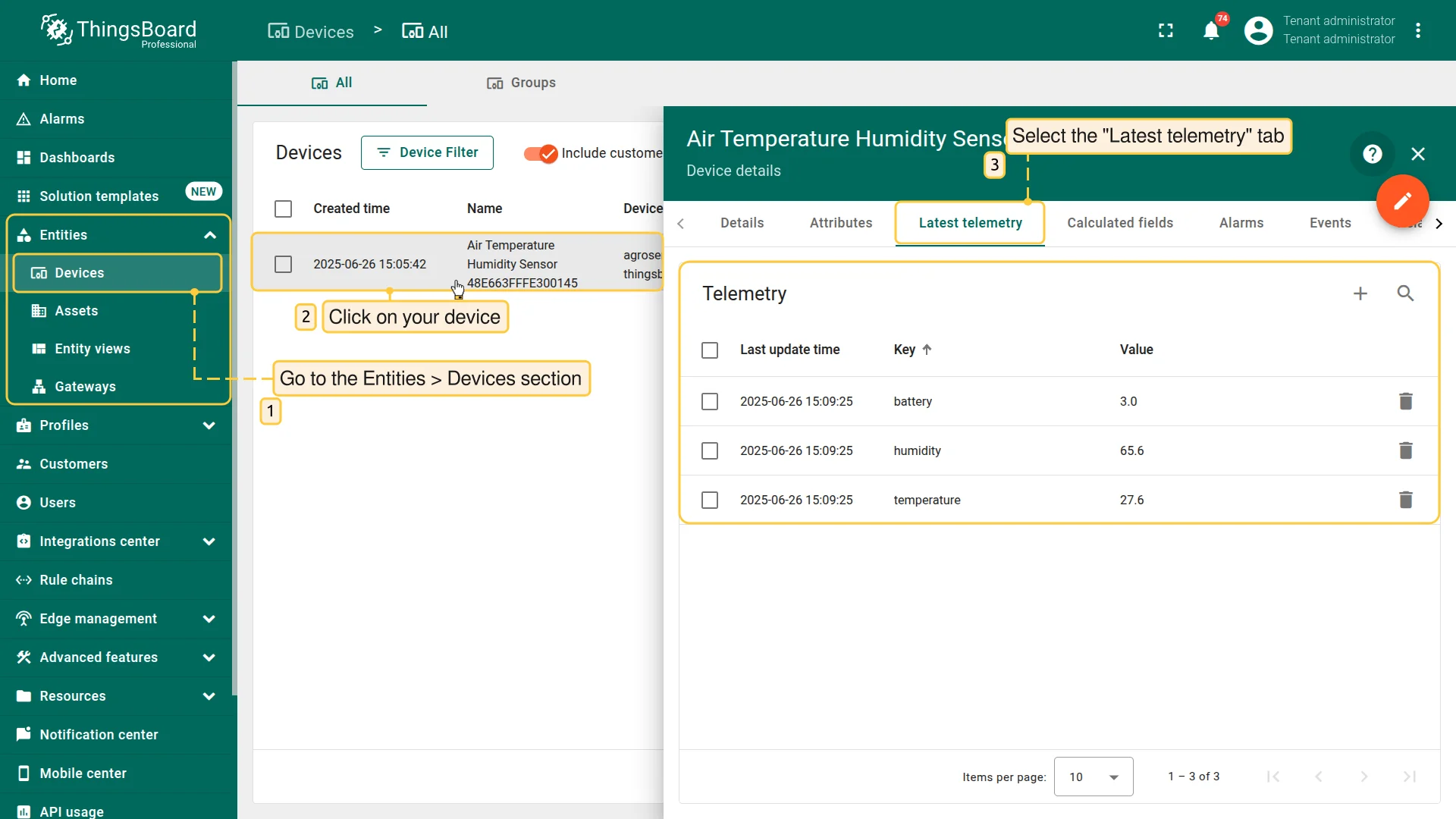 LoRaWAN device data