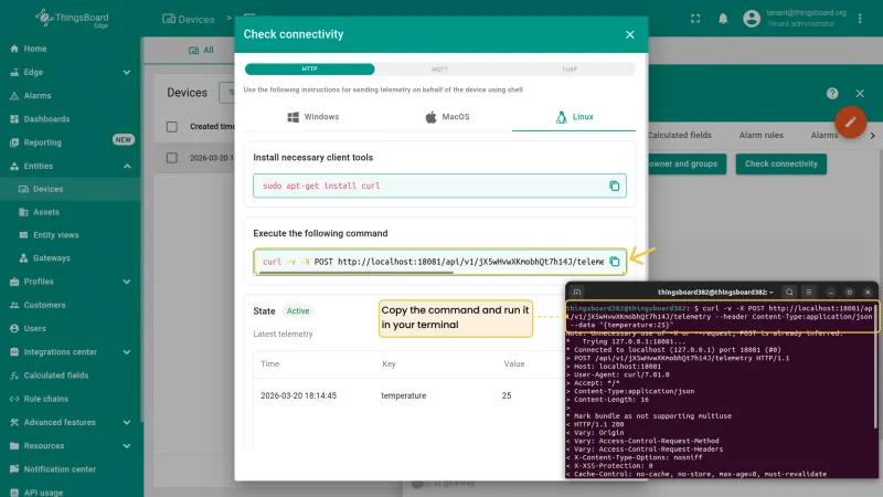 Check connectivity dialog with curl command and terminal showing 200 OK response